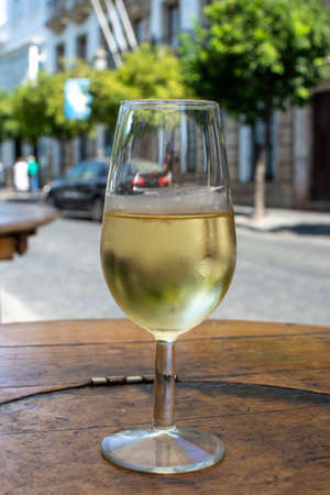 Sherry wine tasting, dry fino, manzanilla or palomino jerez fortified wine in glasses, Jerez de la Frontera, Andalusia, Spain close upの写真素材