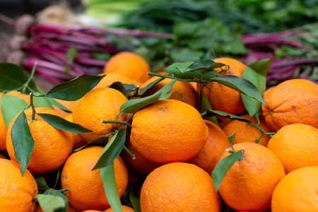 New harvest of sweet ripe oranges fruits on market close up