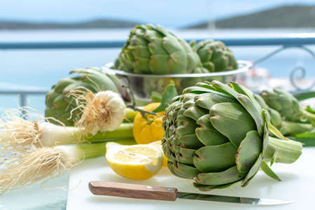 Heads flowers of fresh raw green artichokes plants from artichoke plantation, new harvest in Argolida, Greece, ready to cook with fresh lemonの写真素材