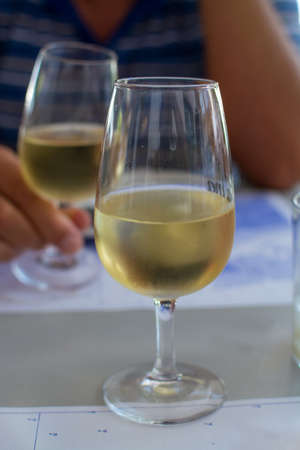 Sherry wine tasting, dry fino, manzanilla or palomino jerez fortified wine in glasses, Jerez de la Frontera, Andalusia, Spain close upの写真素材