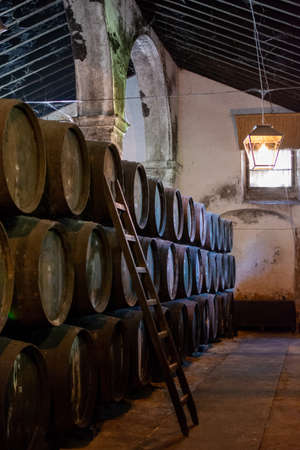Production of fortified jerez, xeres, sherry wines in old dark oak barrels in sherry triangle, Jerez...