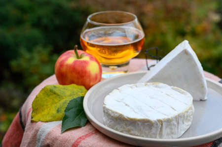 French food, soft cheeses with white mold brie and camembert and golden apple cider in glass from Bretagne served ourdoor in sunny autumn gardenの写真素材