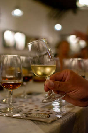 Sherry wine tasting in wine cellars, selection of different jerez fortified wines from dry to very sweet in glasses, Jerez de la Frontera, Andalusia, Spainの写真素材