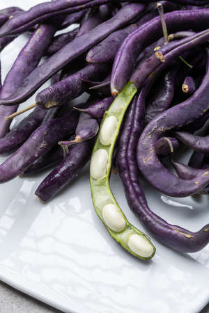 Magic colorful purple beans which turn Green after cooking, fresh healthy vegetables close upの写真素材