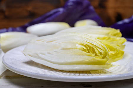 Fresh white belgian endive or chicory salad heads close upの写真素材