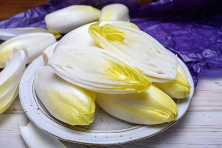 Fresh white belgian endive or chicory salad heads close up