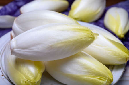 Fresh white belgian endive or chicory salad heads close up
