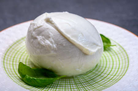Cheese collection, soft white Italian mozzarella di bufala campana with fresh green basil leaves...