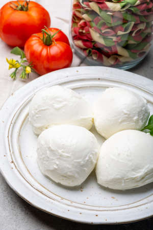Cheese collection, balls Italian soft white cheese mozzarella with tomato and basil