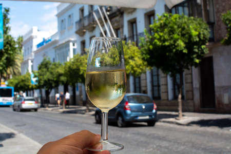 Sherry wine tasting, dry fino, manzanilla or palomino jerez fortified wine in glasses, Jerez de la Frontera, Andalusia, Spain close upの写真素材