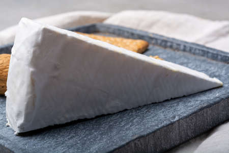 Cheese collection, piece of French brie cheese with white mold close upの写真素材