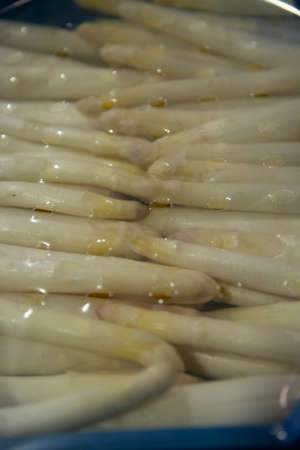 Industrial processing of organic white asparagus vegetable on agricultural farm in Netherlands, washing, peeling, sorting and packing for deliveryの写真素材