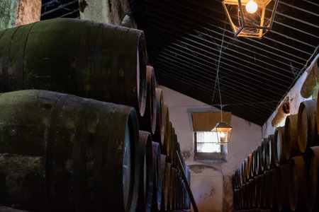Production of fortified jerez, xeres, sherry wines in old dark oak barrels in sherry triangle, Jerez la Frontera, El Puerto Santa Maria and Sanlucar Barrameda Andalusia, Spainのeditorial素材