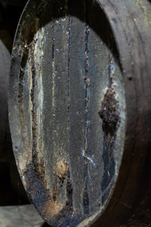 Production of fortified jerez, xeres, sherry wines in old dark oak barrels in sherry triangle, Jerez la Frontera, El Puerto Santa Maria and Sanlucar Barrameda Andalusia, Spainのeditorial素材