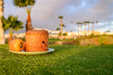 Sweet fresh baked panettone fruit cake with fruits op plate on spring green grass