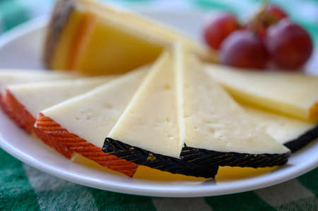 Cheese collection, variety of Spanish manchego cheese made from cow and goat milk close upの写真素材