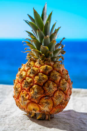 Exotic fruits, fresh ripe sweet pinapple, blue sea and tropical food background copy spaceの写真素材