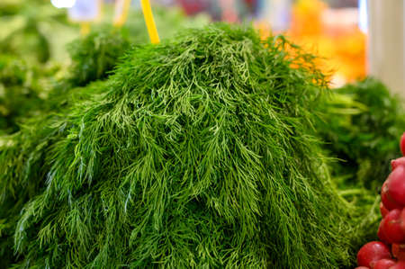 Fresh organic green aromatic dill herb for sale on Sunday farmers market on Tenerife, Canary islands, Spainの写真素材