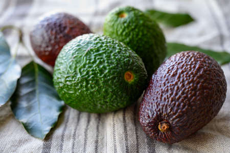 Fresh ripe green and brown avocados fruits ready to eat close up