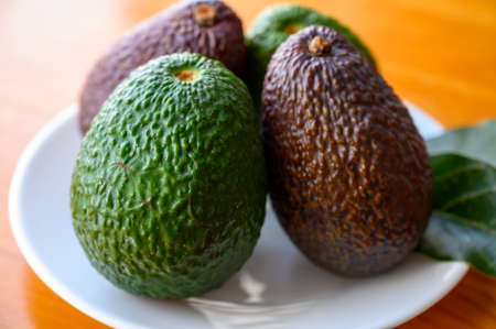 Fresh ripe green and brown avocados fruits ready to eat close up