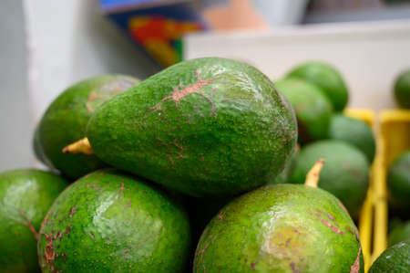 Many fresh ripe green organic avocados in box on farmers market in Spain
