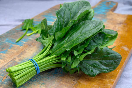 Bunch of young fresh leaves of dietary green organic spinach ready to cook
