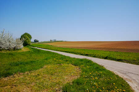 Spring landscape with fields, orchards and roads in Haspengouw region, Limburg, Belgium in sunny day