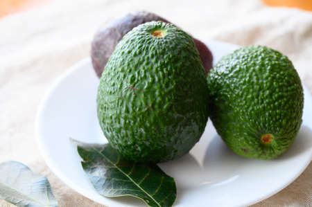 Fresh ripe green and brown avocados fruits ready to eat close upの写真素材