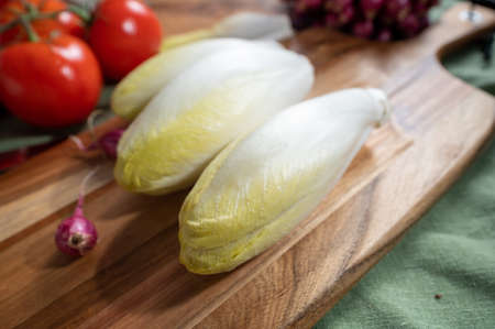Fresh Belgian endive or chicory bitter salad ready to cook or eat close up