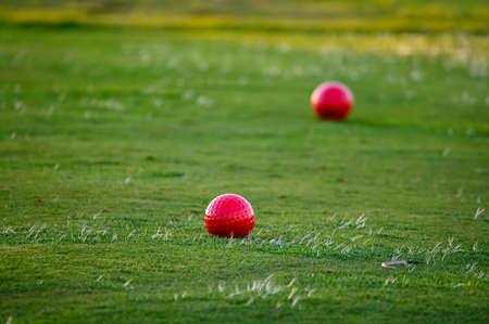 View on evergreen grass field on large golf course, green section with two big red foam balls for...