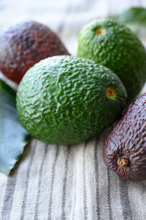 Fresh ripe green and brown avocados fruits ready to eat close up