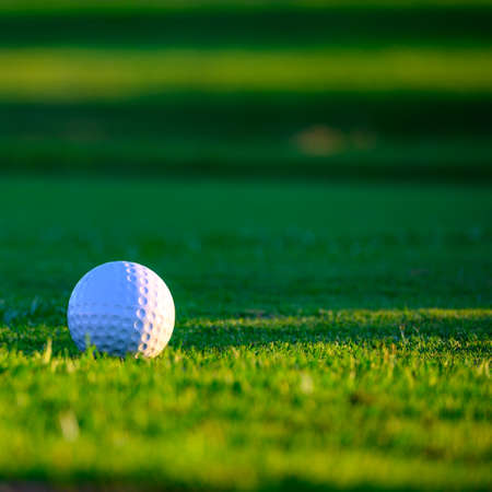 Excellent well-kept green grass lawn on large golf course, green section with big white foam ball for beginners on Tenerife island, Canary, Spain close upの写真素材