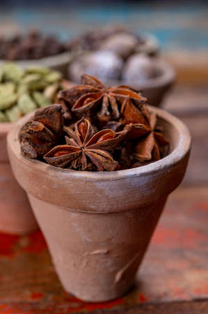 Indian spices collection, dried aromatic star anise  and another spices in clay bowls close up
