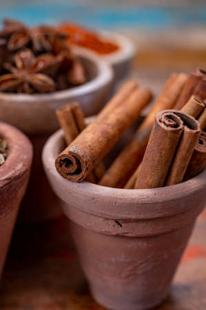 Indian spices collection, dried aromatic cinnamon barks and another spices in clay bowls close up