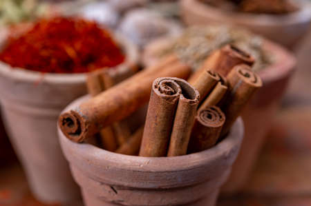 Indian spices collection, dried aromatic cinnamon barks and another spices in clay bowls close up