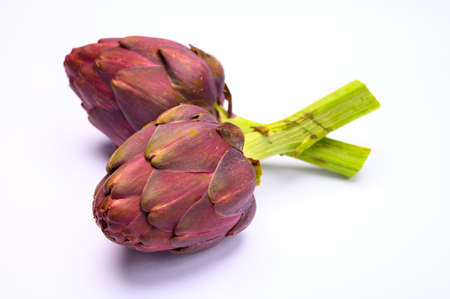 Heads of raw fresh purple romanesco artichoke vegetable ready to cookの写真素材