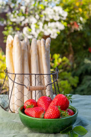 Dutch farmers high quality products, fresh white asparagus and red ripe strawberry in spring sunny gardenの写真素材