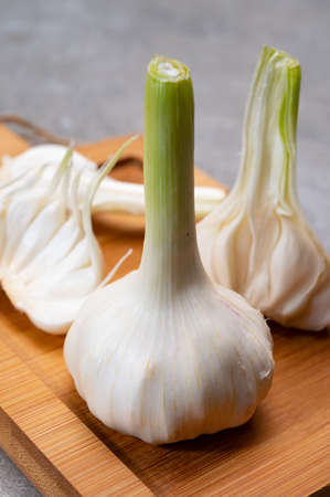 Fresh young heads of white garlic close upの写真素材