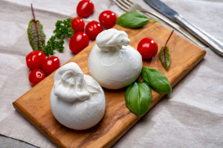 Cheese collection, fresh soft white burrata cheese ball made from mozzarella and cream from Apulia,...