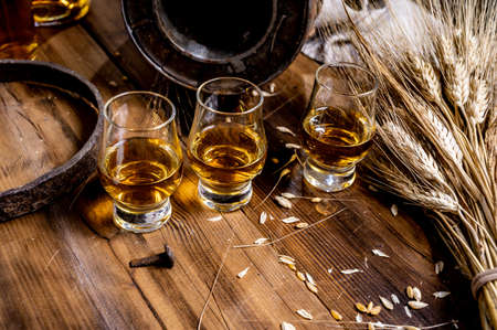 Small tasting glasses with aged Scotch whisky on old dark wooden vintage table with barley grains close upの写真素材
