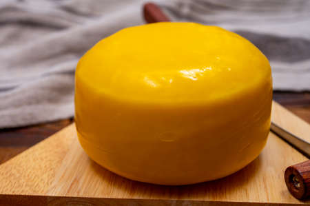 One small head of Dutch baby gouda cheese in yellow wax close upの写真素材