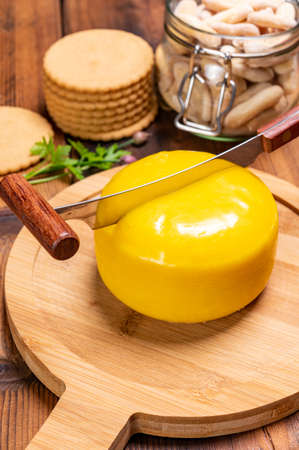 Dutch baby gouda cheese in yellow wax close upの写真素材