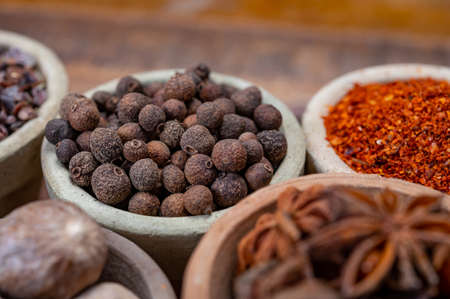 Indian spices collection, dried colorful condiment, nuts, pods and seeds and another spices in clay bowls close upの写真素材