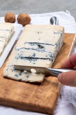 Italian food, buttery or firm blue cheese made from cow milk in Gorgonzola, Milan, Italy close upの写真素材