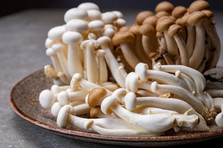 Fresh uncooked buna brown and bunapi white shimeji edible mushrooms from Asia, rich in umami tasting...
