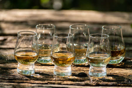 Tasting of different Scotch whiskies on outdoor terrace, dram of whiskey close upの写真素材