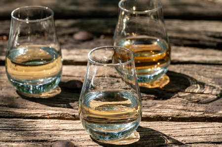Tasting of different Scotch whiskies on outdoor terrace, dram of whiskey close upの写真素材