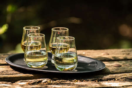 Tasting of different Scotch whiskies on outdoor terrace, dram of whiskey close up