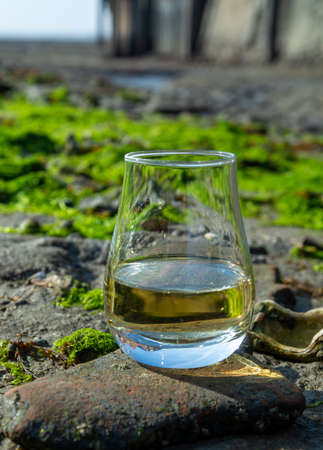 Tasting glass of Scotch whisky and sea shore background during low tide, smoky whisky pairing with oystersの写真素材