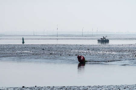 Coastline in zeeuwse village Yerseke with famous oysters and mussels wells during low tide, Zeeland, Netherlandsの写真素材